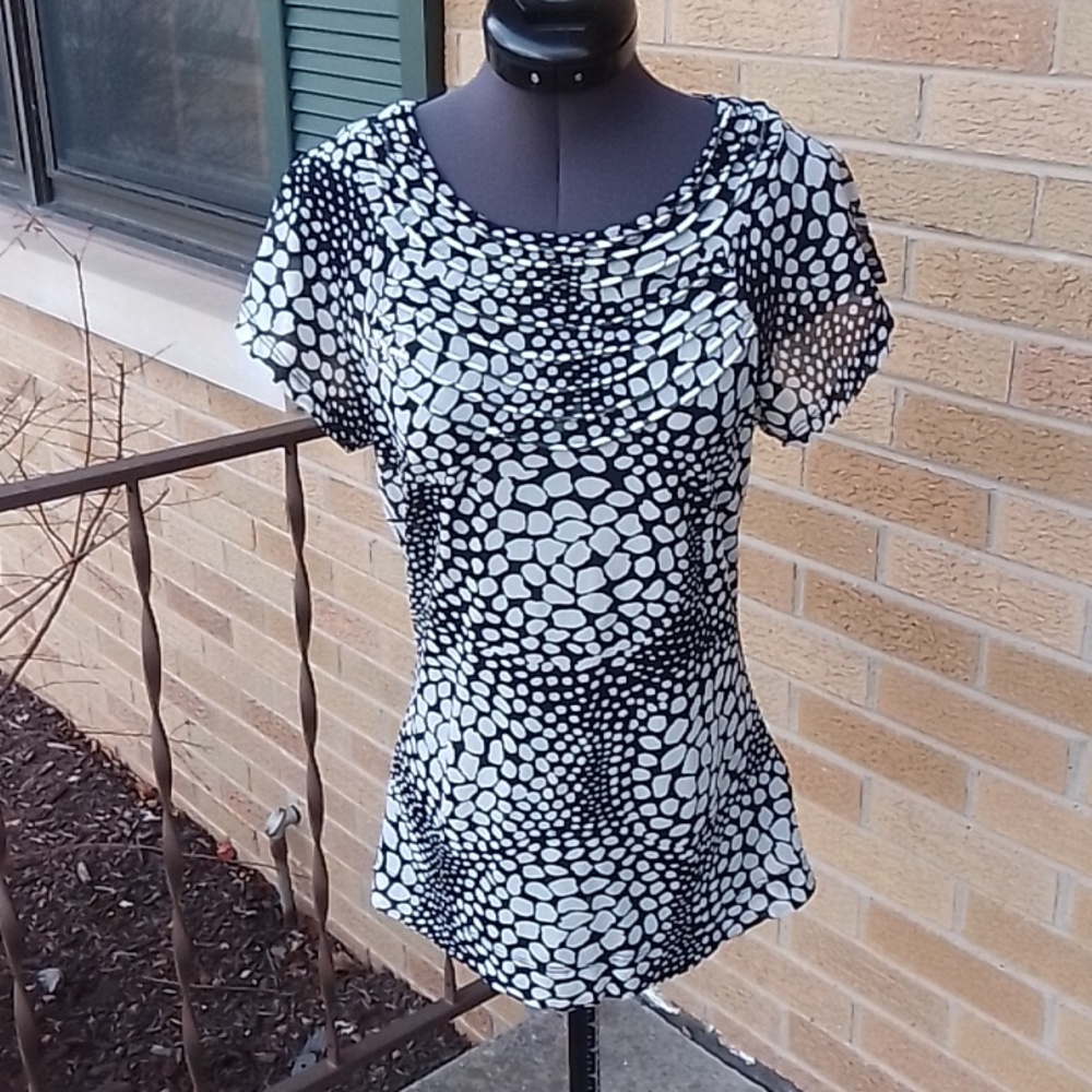 The Limited semi-sheer navy/white top, sz S